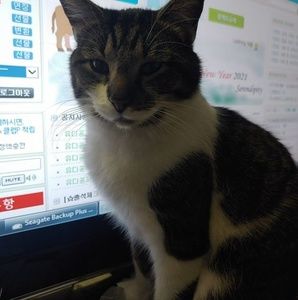 Meet your Posher, Chol